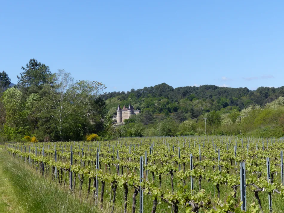 Domaine des Vans - Terres de France