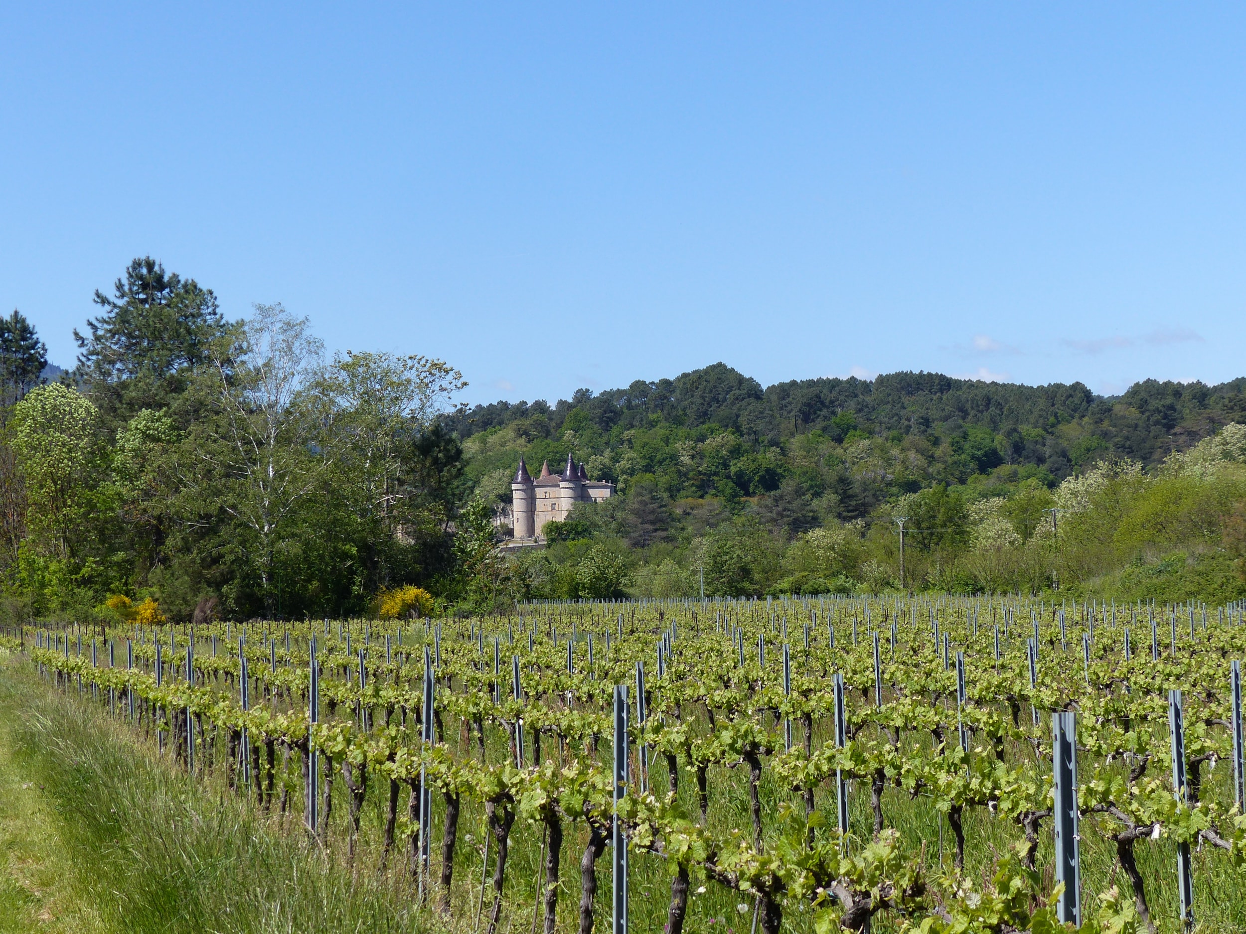 Domaine des Vans - Terres de France — Photo 6
