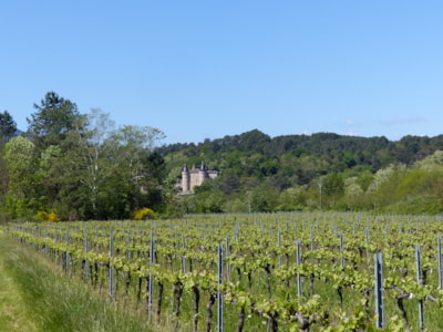 Domaine des Vans - Terres de France