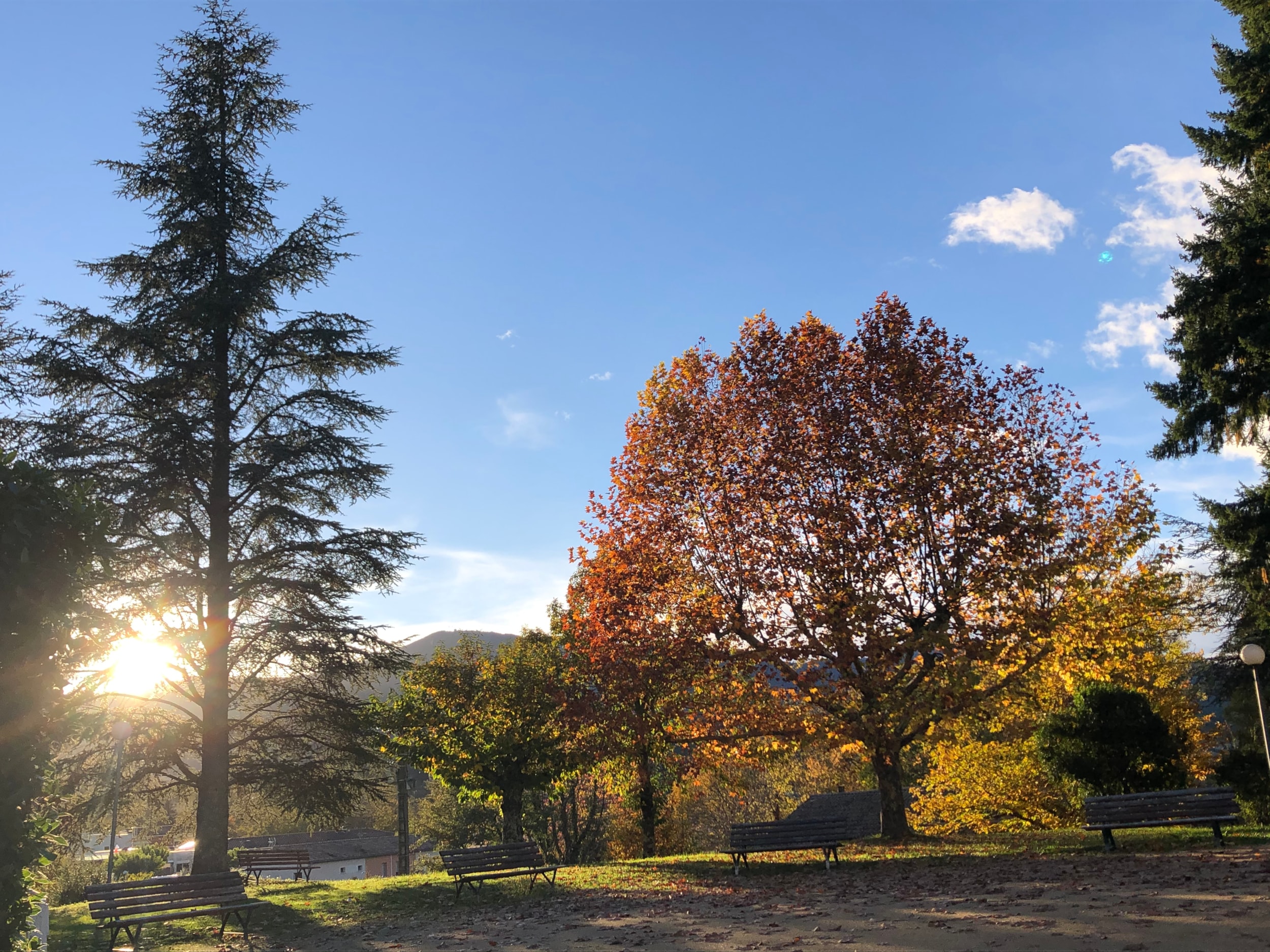 Domaine des Vans - Terres de France — Photo 7