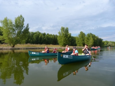 Camping Onlycamp Le Port