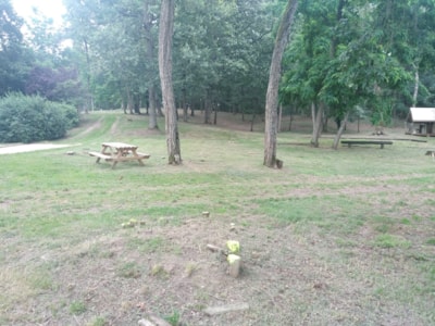 Camping package (pitch, 1 vehicle)
