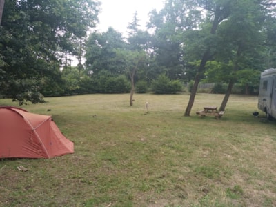 Camping package (pitch, 1 vehicle)