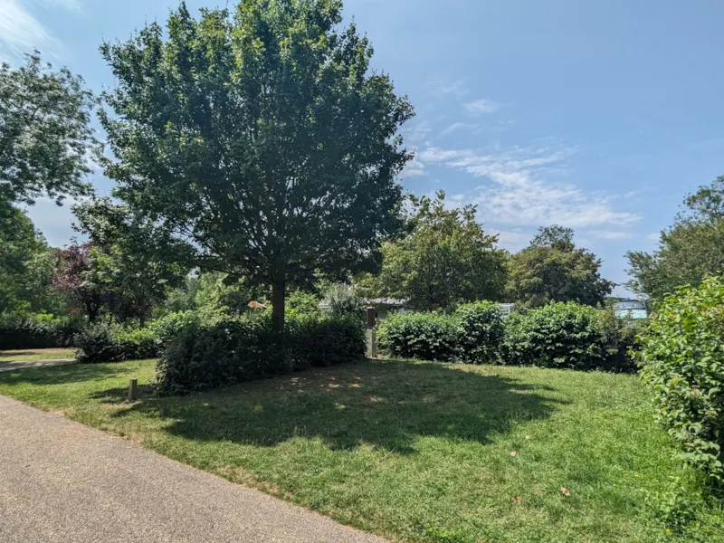 Forfait Camping (Emplacement, 1 Véhicule)