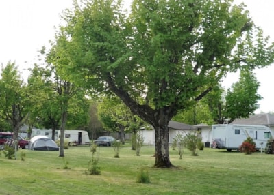 Camping package (pitch, 1 vehicle)