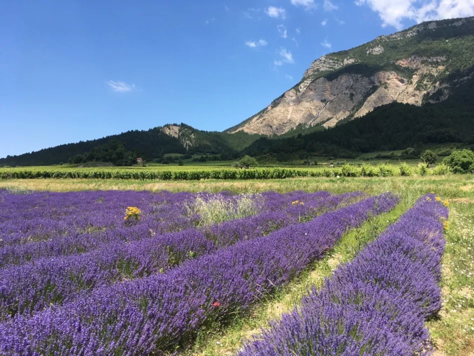 Camping Onlycamp de Chamarges