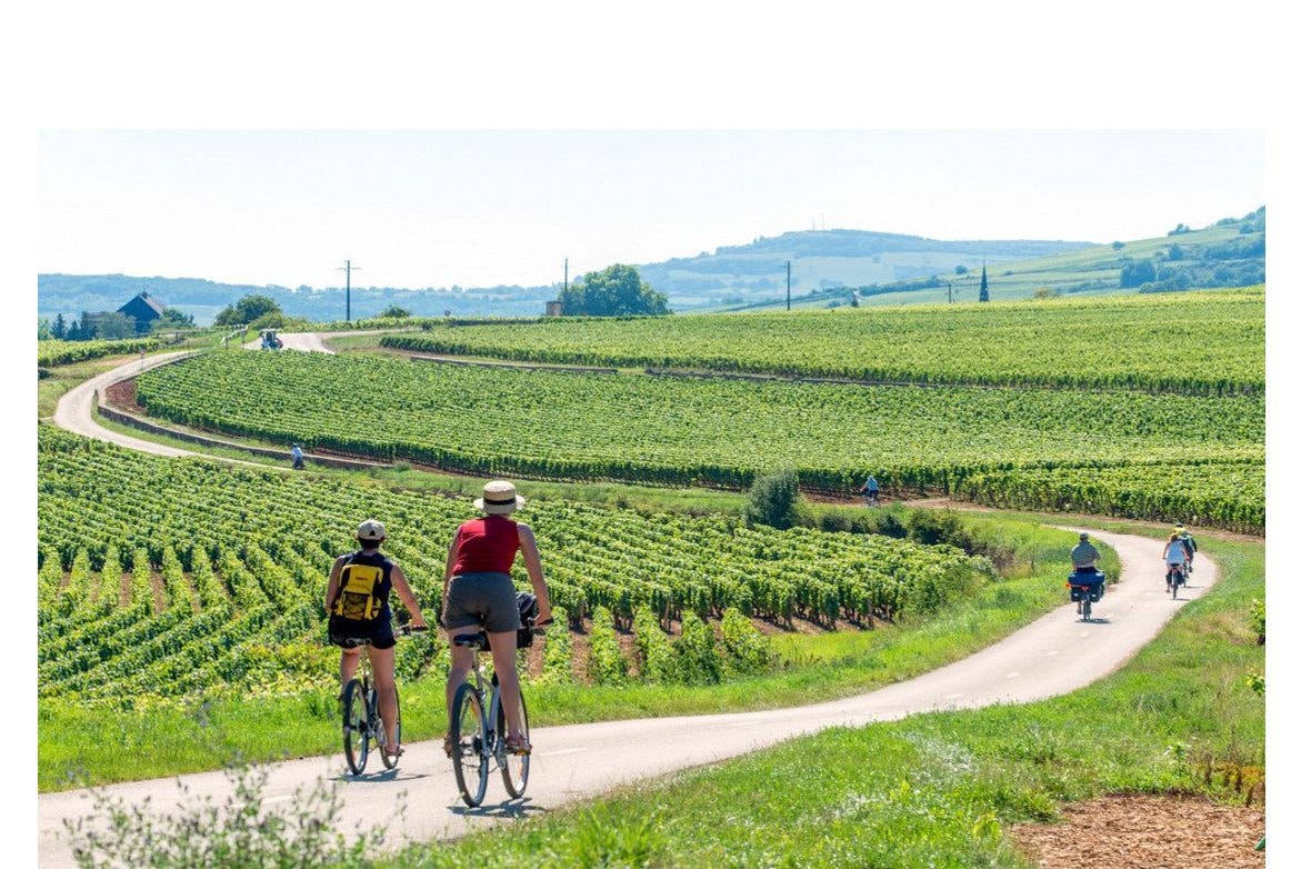 Camping Onlycamp Les Premières Vignes