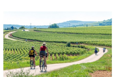 Camping Onlycamp Les Premières Vignes Camping Onlycamp Les Premières Vignes