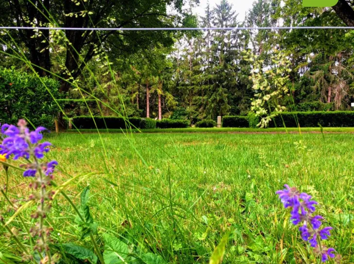 Kampeerplaats(en) - Forfait Camping (Standplaats, 1 Voertuig) - Camping Onlycamp Les Premières Vignes