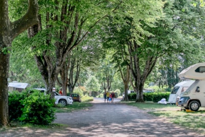 Camping package (pitch, 1 vehicle)