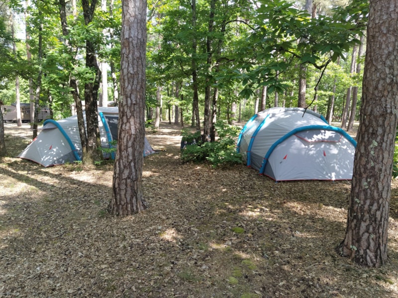 Forfait camping (emplacement, 2 personnes, 1 véhicule)