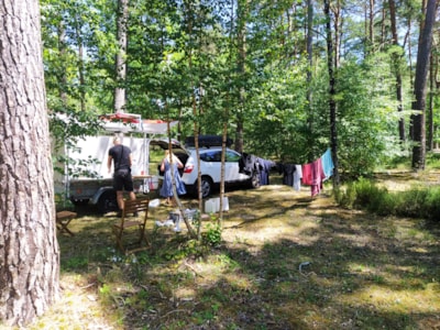 Camping package (pitch + 1 vehicle)