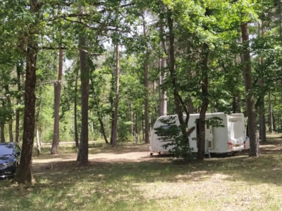 Camping package (pitch + 1 vehicle)