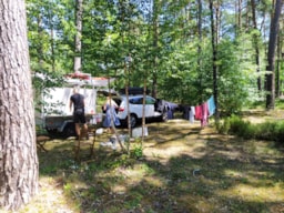 Camping Onlycamp Les Pins - image n°8 - 