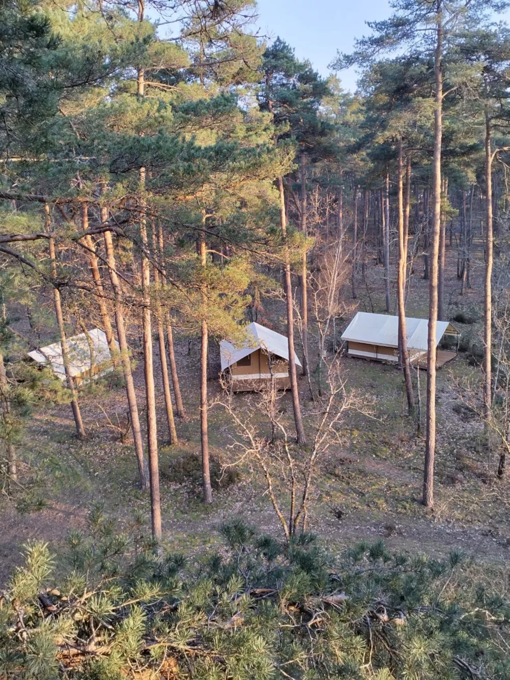Camping Onlycamp Les Pins - image n°1 - Ucamping