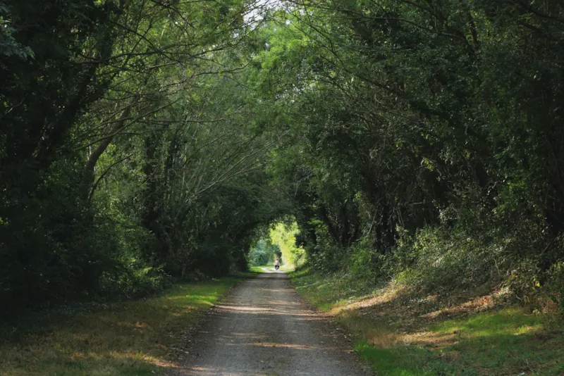 Emplacement + Électricité
