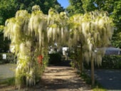 Camping Municipal Les Remparts