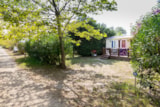 Foto #4 van Camping Homair – Les Rives du Luberon