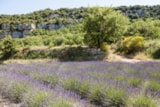Foto #21 van Camping Homair – Les Rives du Luberon