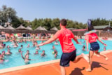 Foto #23 van Camping Homair – La Palmeraie