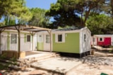 Foto #4 van Camping Homair – La Palmeraie