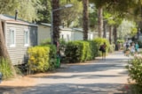 Foto #5 van Camping Homair – La Palmeraie