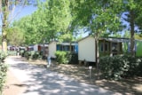 Foto #5 van Camping Homair – Les Sablines