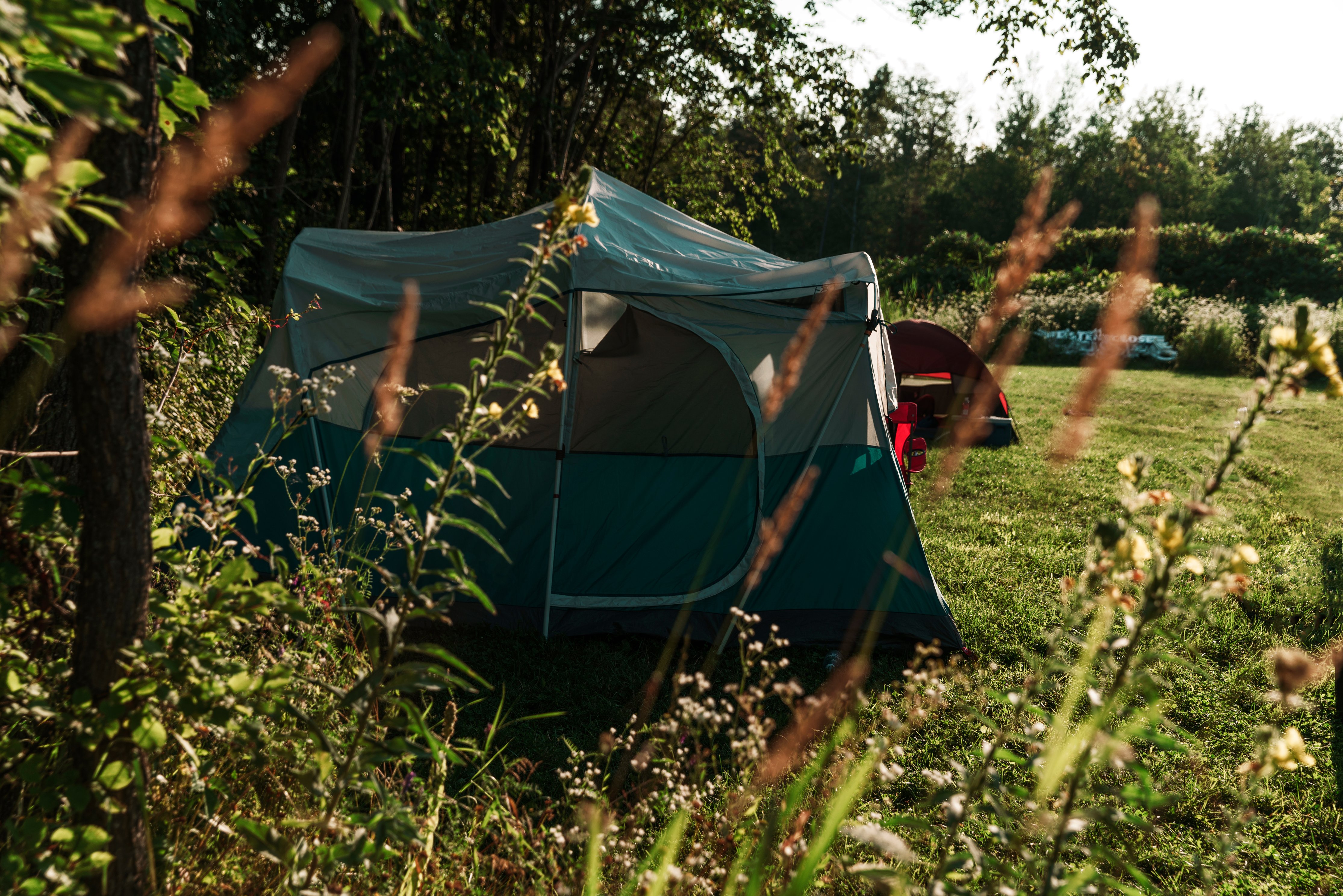 Pitch - Package Confort Pitch 100M² + Electricity 6A - Village Glamping Le Pré Des Chênes