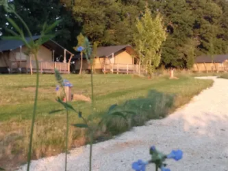 Village Glamping Le Pré Des Chênes - image n°3 - Camping Direct