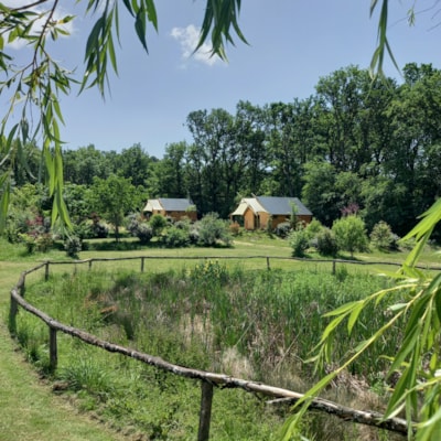 B&B  TRAPPEUR CABIN