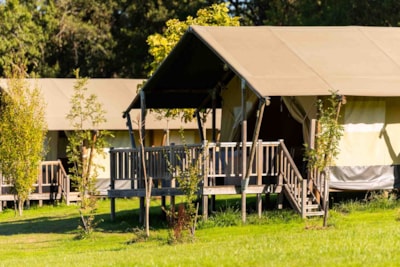 Tent Glamping Safari