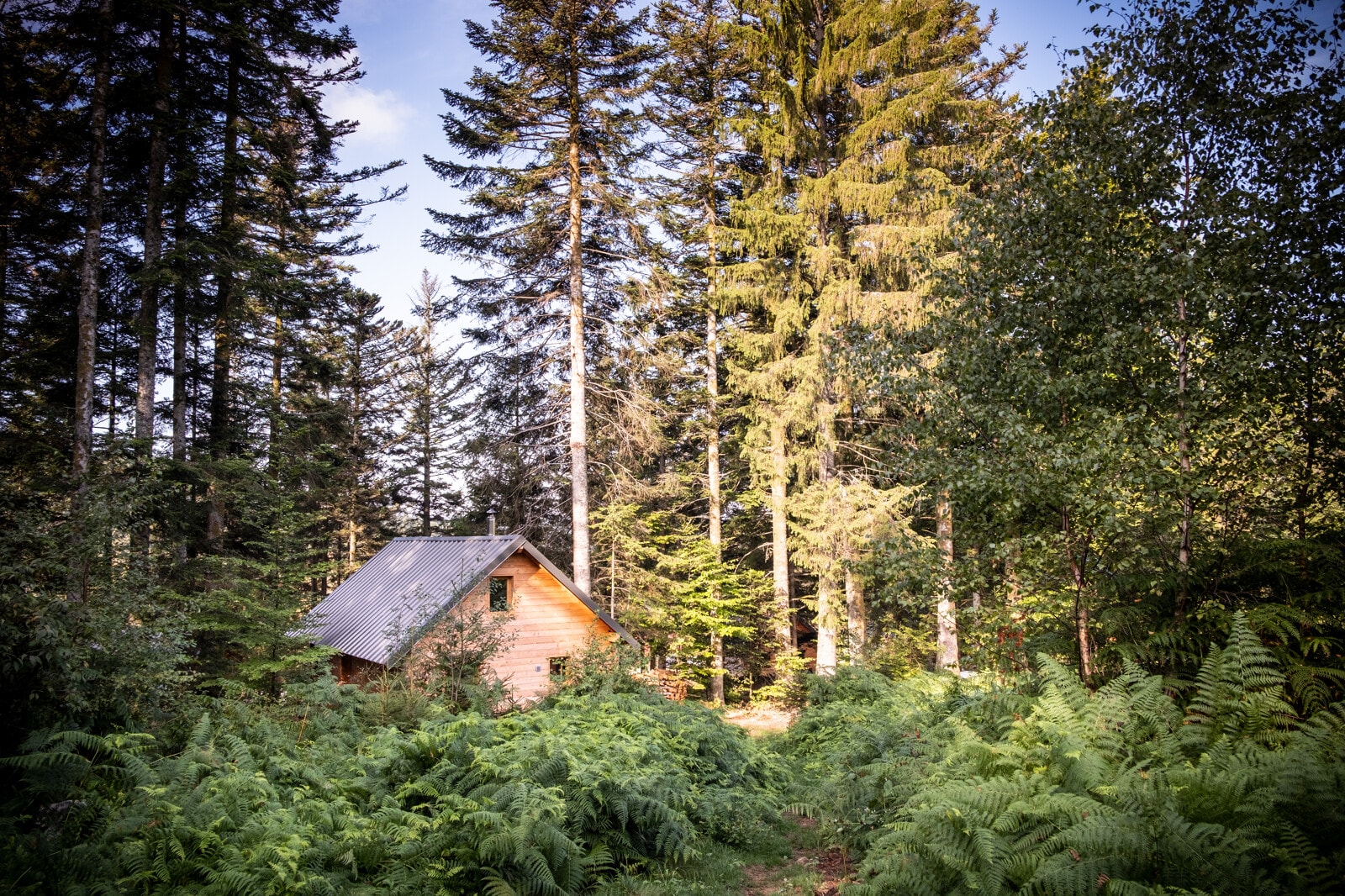 Huttopia Forêt des Vosges — Foto 8