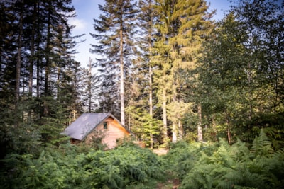 Huttopia Forêt des Vosges