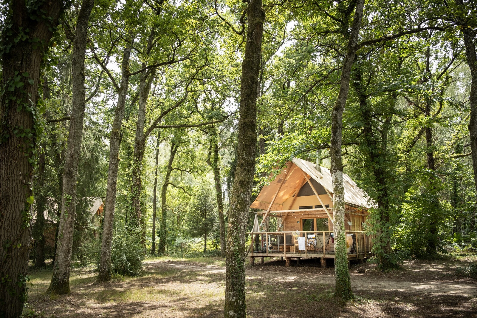 Huttopia Forêt des Vosges — Foto 9