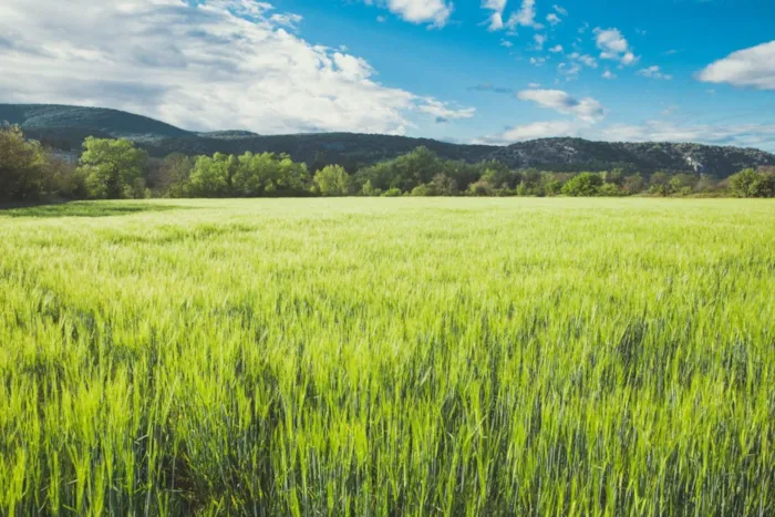 Camping et Lodges de Coucouzac - image n°1 - Camping Direct