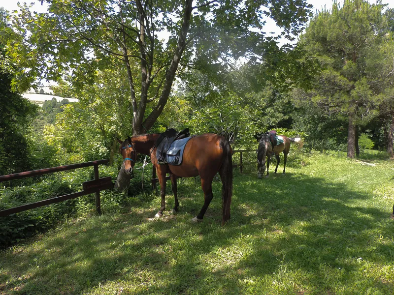 Agricampeggio La Stadera