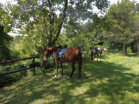 Agricampeggio La Stadera
