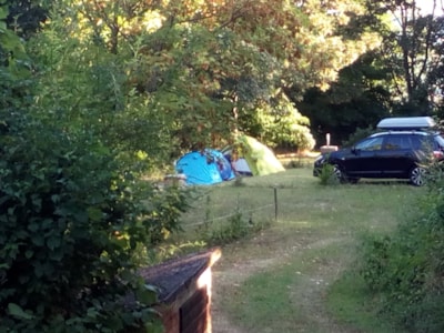 Pitch with electricity  (for tent, tent trailer or campervan only) — 2