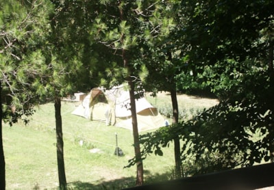 Pitch with electricity  (for tent, tent trailer or campervan only) — 5
