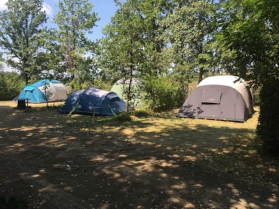Pitch with electricity  (for tent, tent trailer or campervan only) — 7
