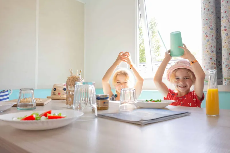 Mobil-Home Privilege 4 Chambres