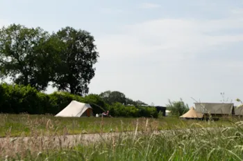 Pitch - Tent Pitch - Charmecamping & Appartementen De Regge-Vallei