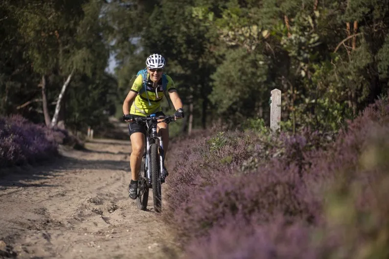 Charmecamping & Appartementen De Regge-Vallei