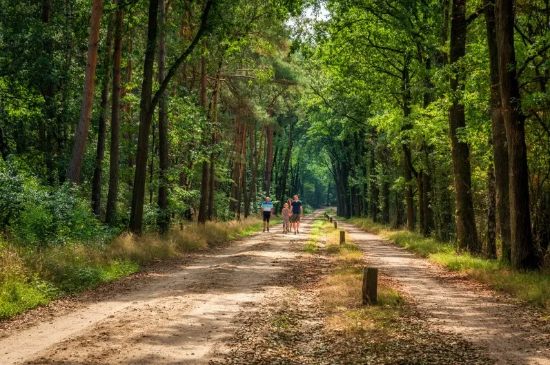 Charmecamping & Appartementen De Regge-Vallei