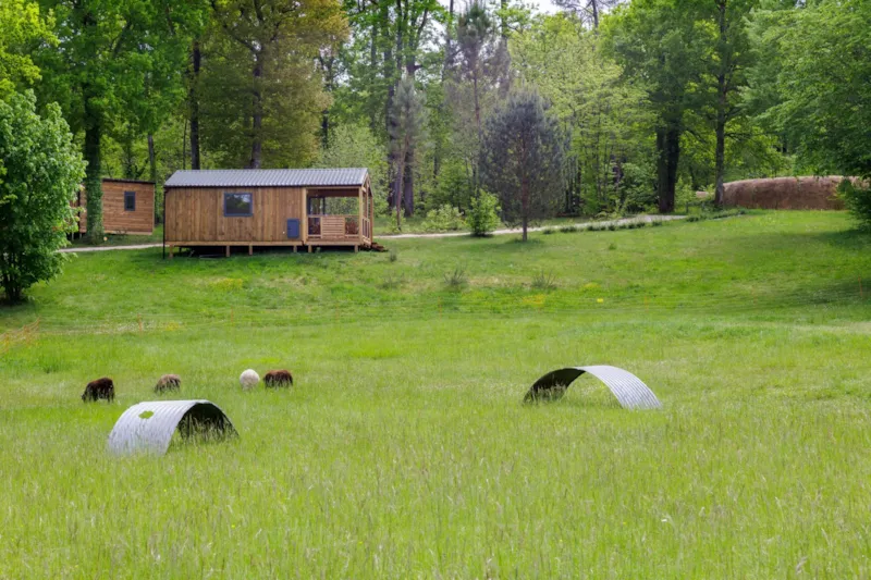 Chalet Horizon - 3 Chambres