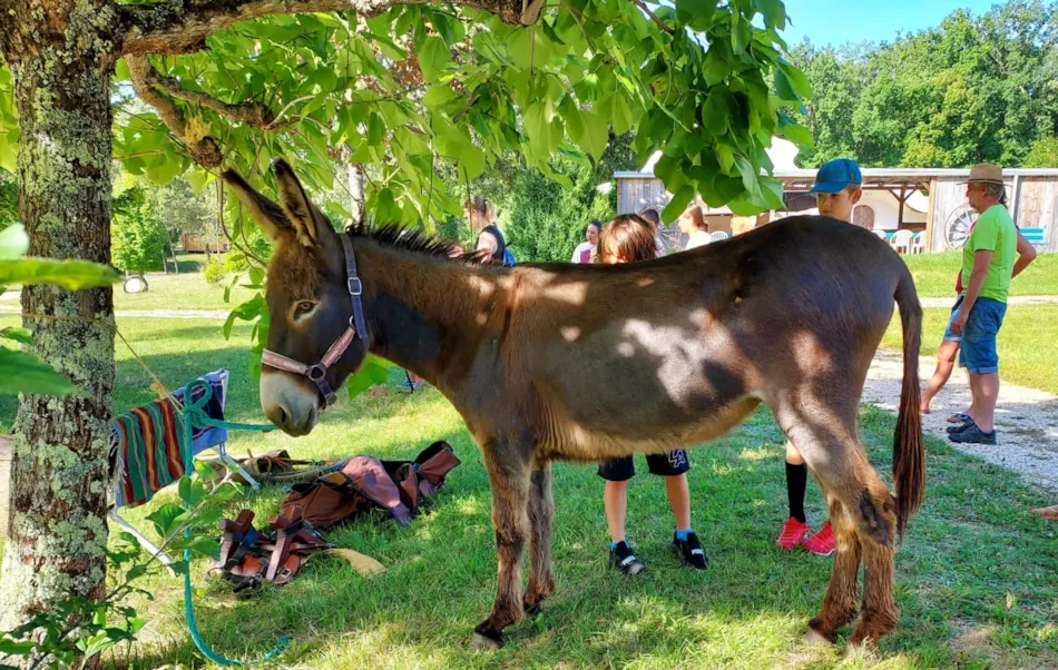Camping La Clairière