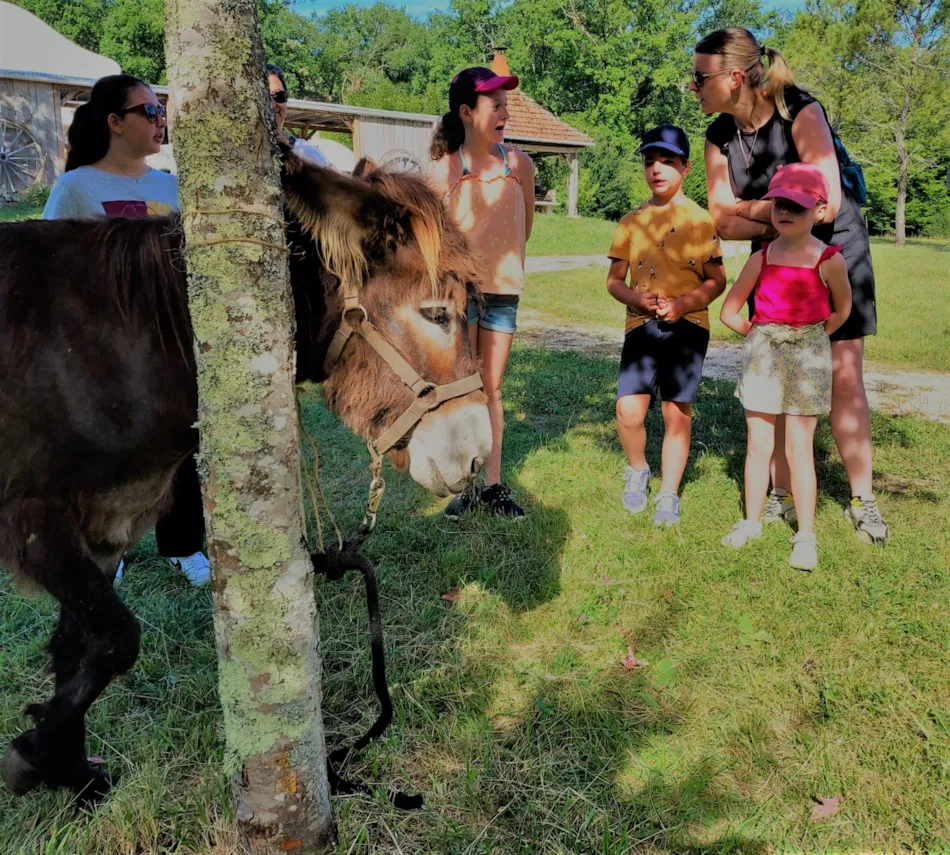 Camping La Clairière