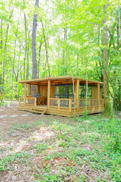 Forest chalet - 2 bedrooms