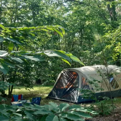 Emplacement Forêt