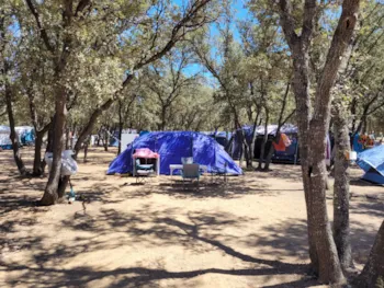 Stellplatz - Pauschale Stellplatz + 1 Fahrzeug - Camping la'bel balagne